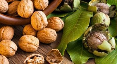 Орехи при беременности – польза и вред: можно ли есть грецкий, бразильский, мускатный и другие?