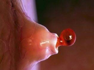 Рассчитать овуляцию: как составить календарь благоприятных для зачатия дней?