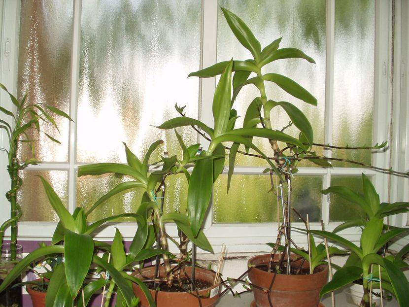 Бесплодие у женщин: как лечить, можно ли избавиться от него, помогут ли народные средства?