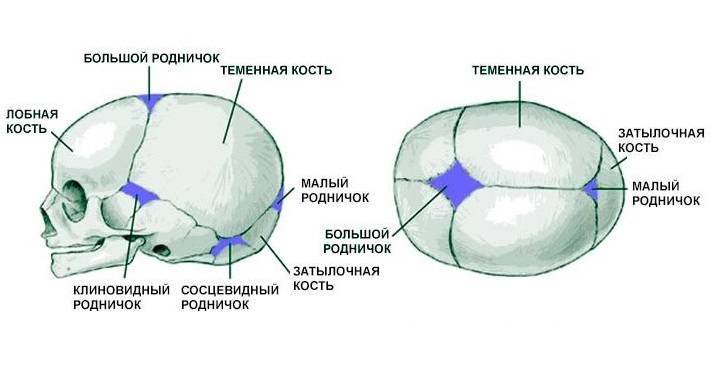 Ребенок ударился головой: на что обратить внимание, что делать, последствия ушиба затылком