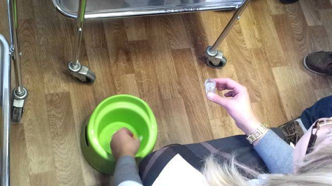 Анализы на глисты у детей: исследование крови, кала и другие методы выявления гельминтов