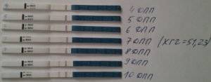 Тест на беременность после переноса эмбриона: на какой день он покажет две полоски?