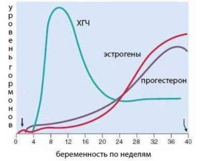 Ректальная температура при беременности на ранних и поздних сроках: норма, причины отклонения