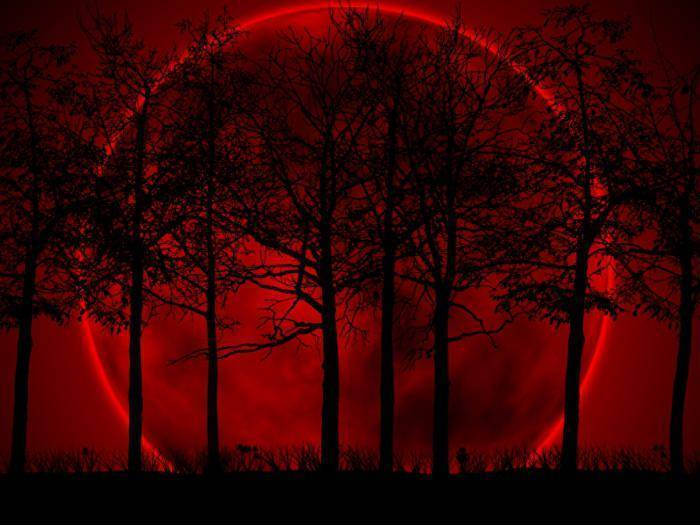 Ланцет для забора крови у детей: устройство для безболезненного взятия жидкости из пальца