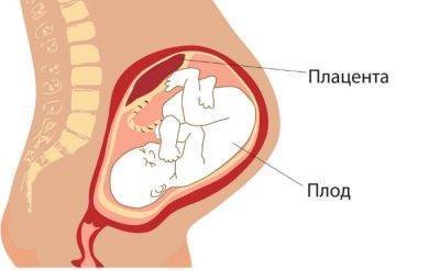 УЗИ на 34 неделе беременности: показатели нормы у плода и будущей матери