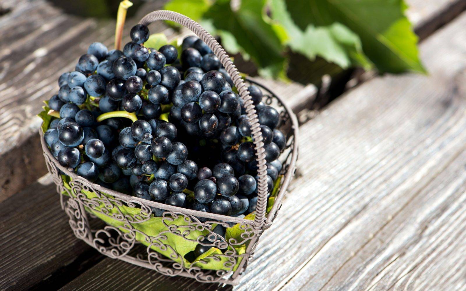 Персики при грудном вскармливании ????: можно ли кормящей маме в первый месяц?