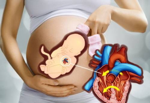 Как определить пол ребенка по сердцебиению, чье сердце бьется чаще – мальчика или девочки?