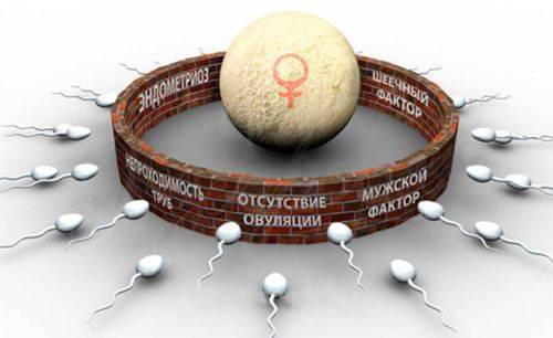 Можно ли при молочнице забеременеть: возможно ли зачатие, какой будет беременность?