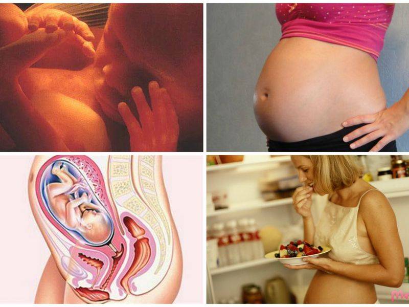 Беременность по месяцам