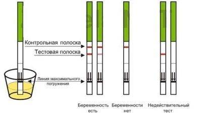 Тест отрицательный, но тошнит при задержке месячных: что это значит?