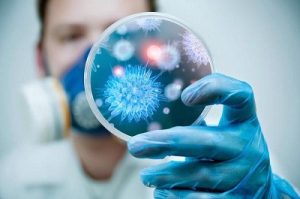 Розовый лишай у ребенка: фото, признаки и лечение в домашних условиях