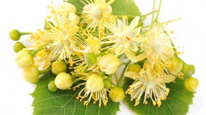 Чем лечить ангину у ребенка в домашних условиях: быстро и без антибиотиков в возрасте от 2 лет