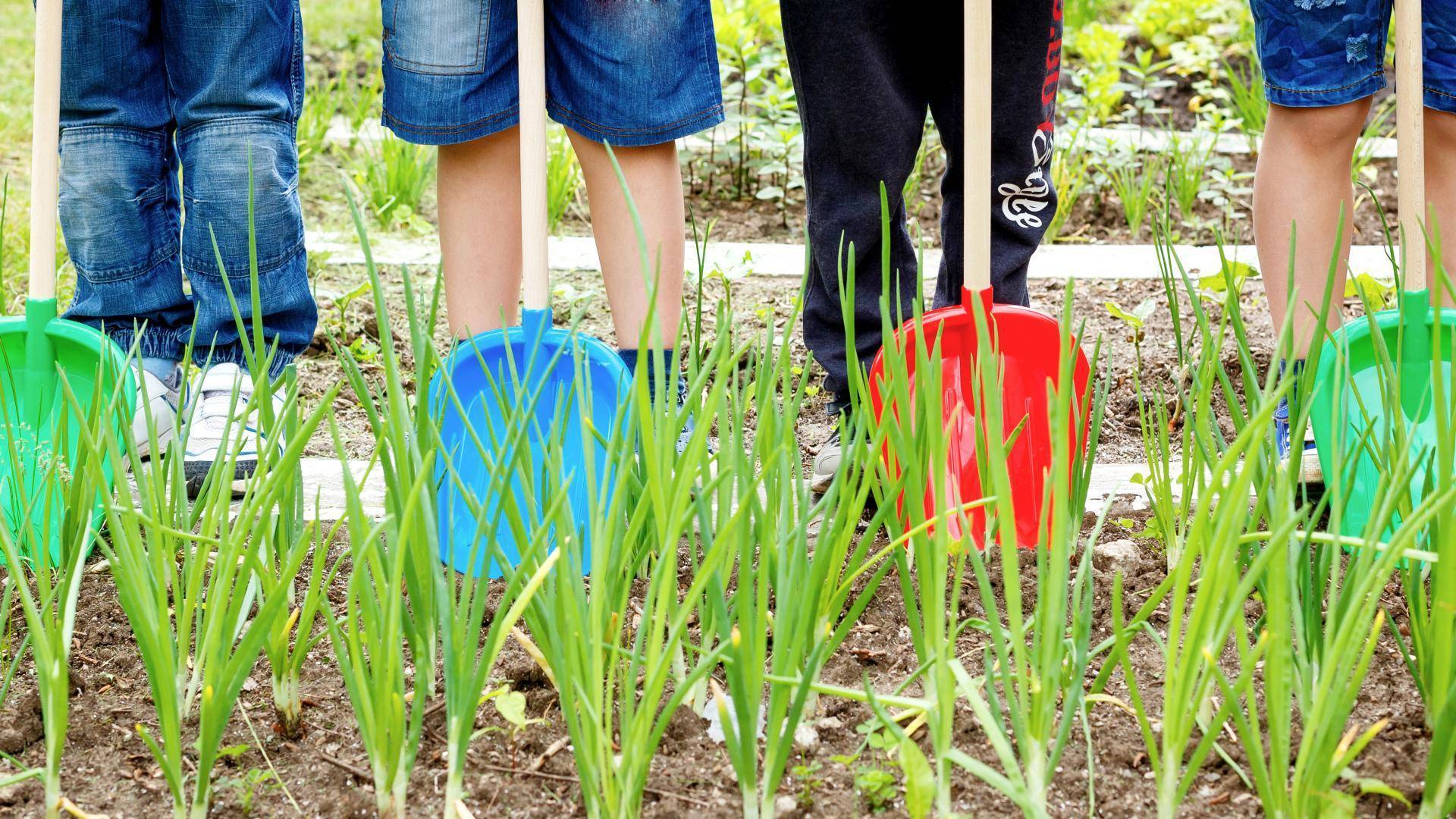 Как школьнику заработать деньги в интернете без вложений в 12-15 лет, сидя дома?