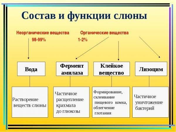 Лизобакт при грудном вскармливании ????: инструкция по применению кормящей маме