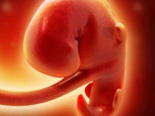 4 неделя беременности от зачатия: что происходит с малышом и мамой, каковы ощущения женщины?