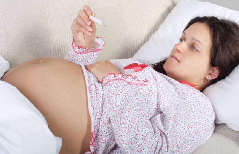 Когда начинает расти грудь при беременности и насколько она увеличивается?