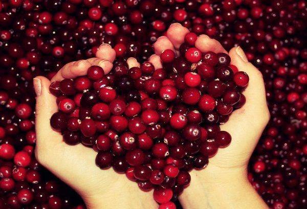 Клюква при грудном вскармливании и клюквенный морс: можно ли кормящей маме?