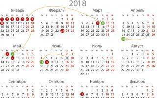 Большой живот при беременности: почему быстро растет на ранних или поздних сроках?