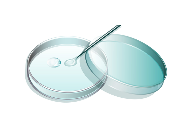 ЭКО с донорским эмбрионом: как проходит процедура, какова ее результативность?