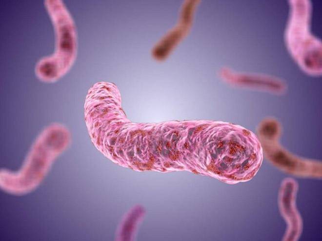 Положительная реакция Манту: что это значит и что делать родителям ребенка?