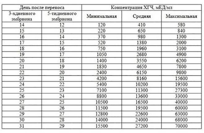Тест на беременность после переноса эмбриона: на какой день он покажет две полоски?