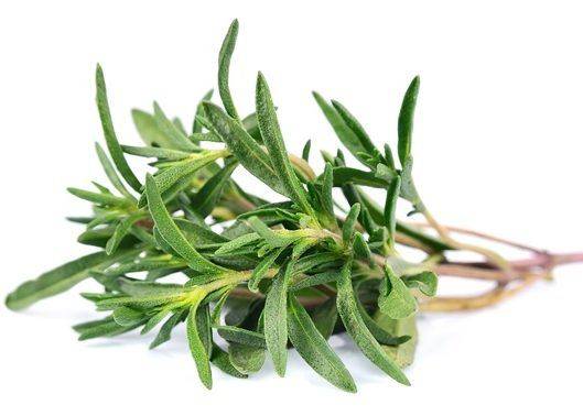 Причины хронического и рецидивирующего бронхита у детей, симптомы болезни и методы лечения