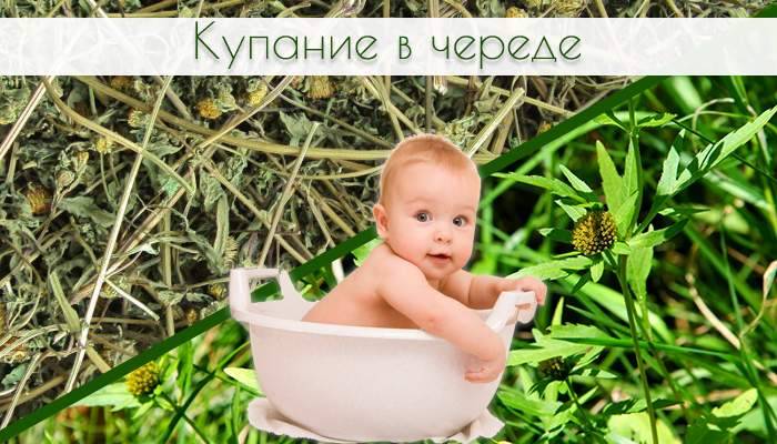 Череда для купания новорожденных: как заварить, сколько нужно, польза