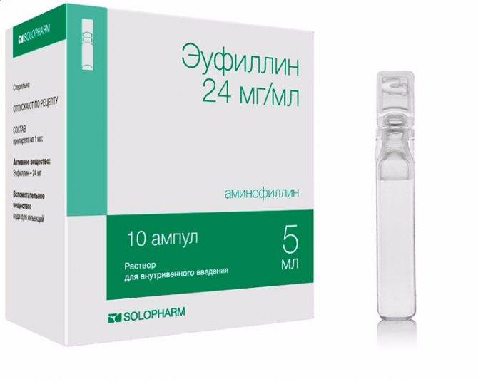 Симптомы аллергии на собак, особенности лечения грудничков и детей старшего возраста