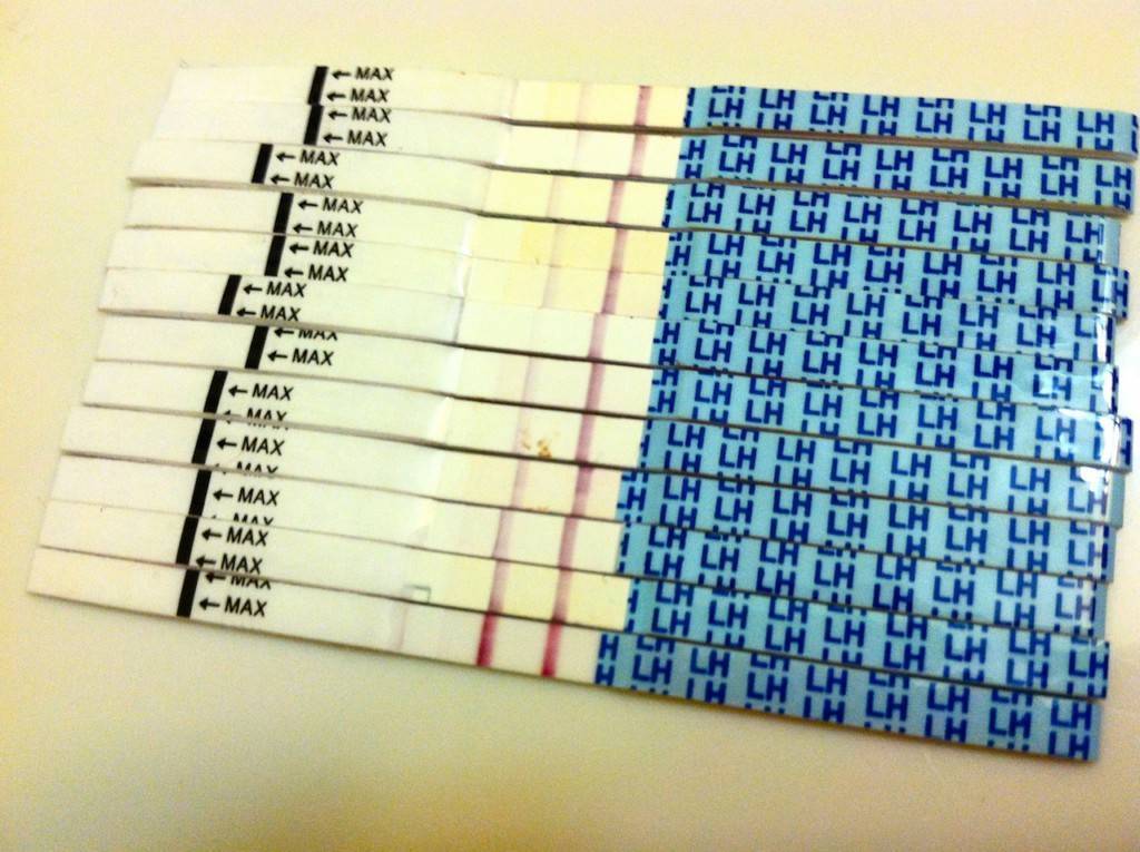 Тест показывает 1 полоску, а месячных нет: причины и лечение, если отсутствует беременность