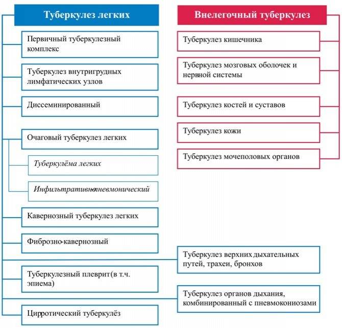 Признаки туберкулеза у детей - первые симптомы, лечение на ранних стадиях, профилактика