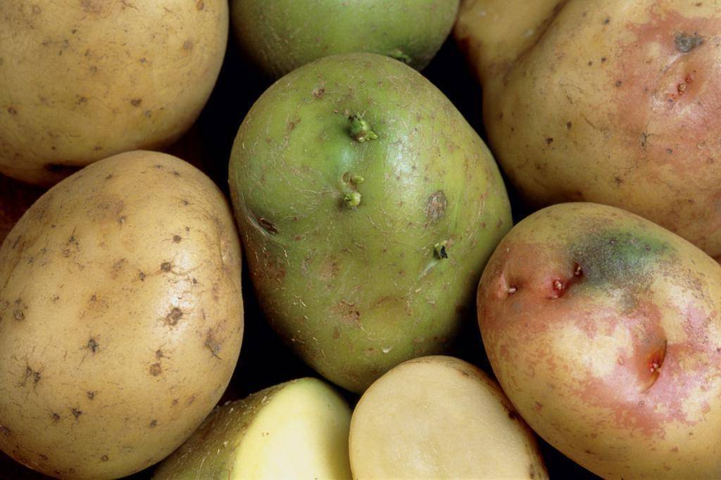 С какого возраста можно давать хлеб ребенку и какой - черный или белый?